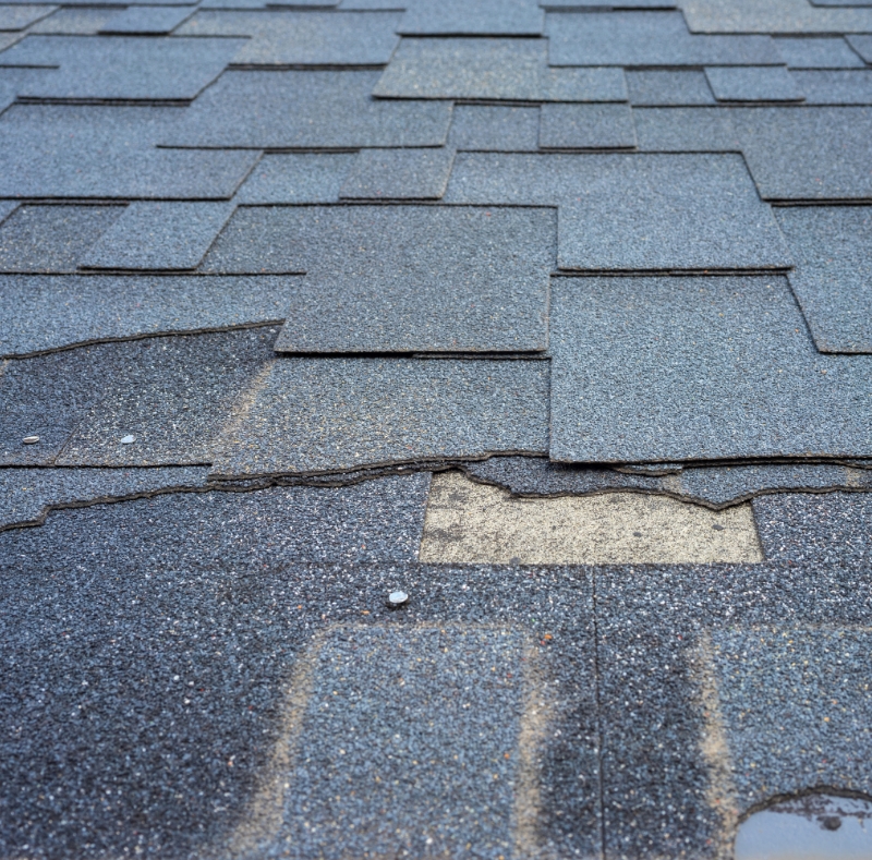 Ceiling Leak Repair