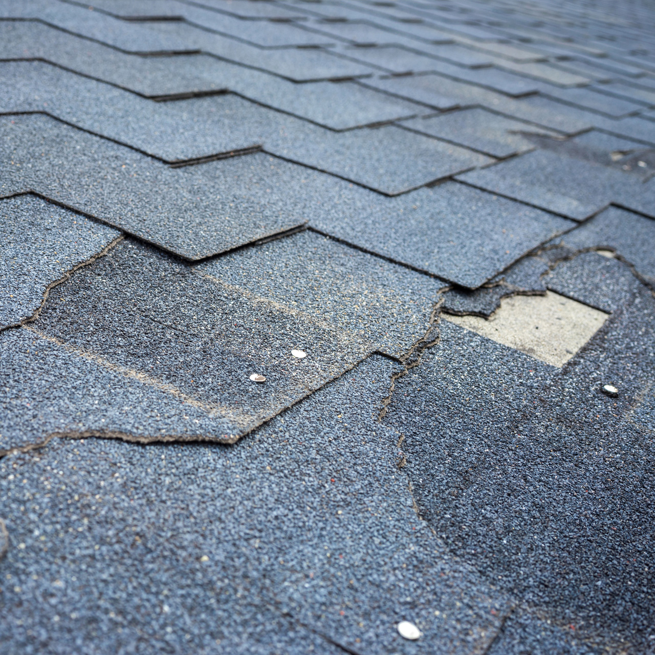 roof repair